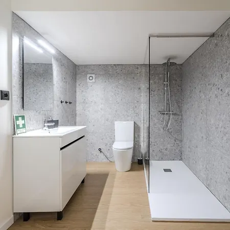 The Flats Ii Apartment Braga